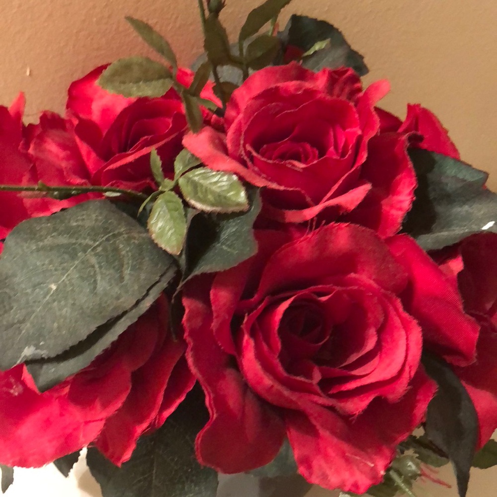 Meet your Posher, Kidist